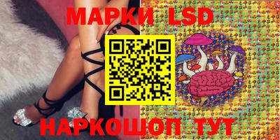 дмт Обь