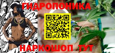 дмт Обь
