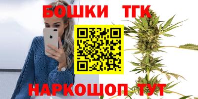 дмт Обь