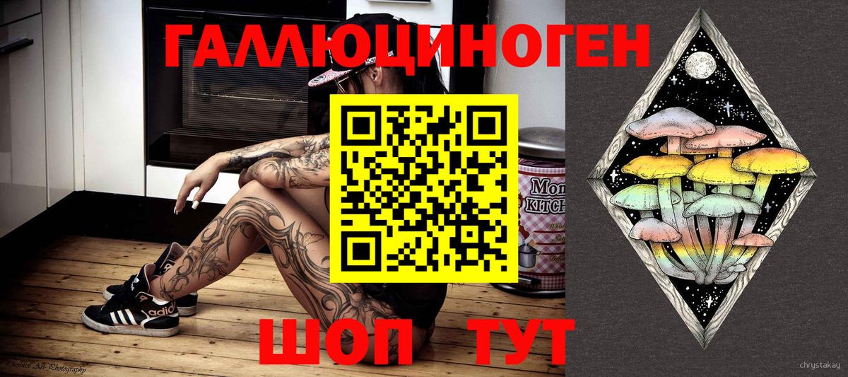 Галлюциногенные грибы Cubensis  Вход с VPN  Саратов  Псилоцибиновые грибы мицелий 